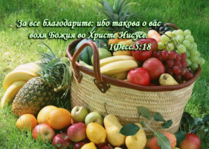 День благодарения в Макаровской Христианской Церкви.